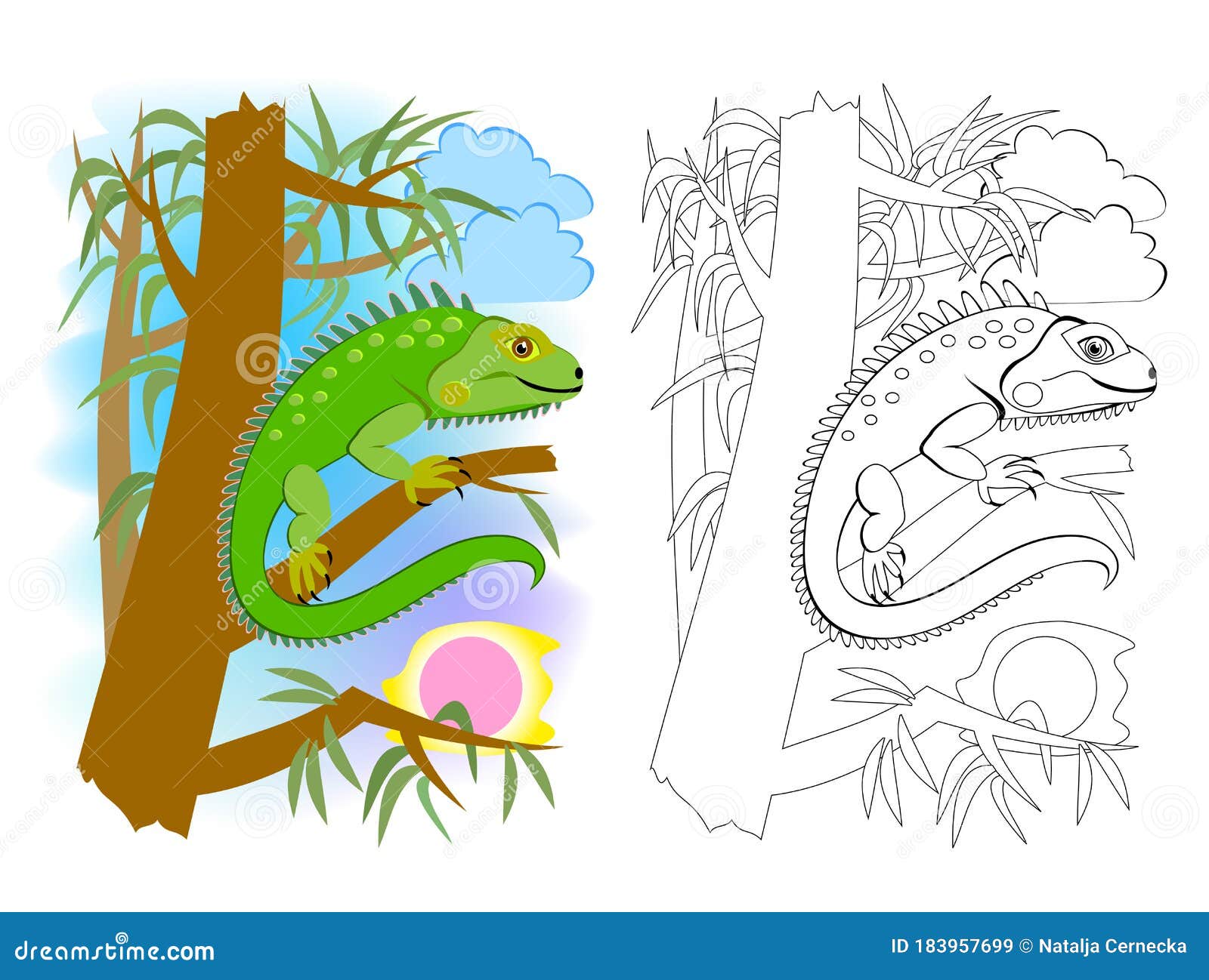 Coloring page iguana stock illustrations â coloring page iguana stock illustrations vectors clipart