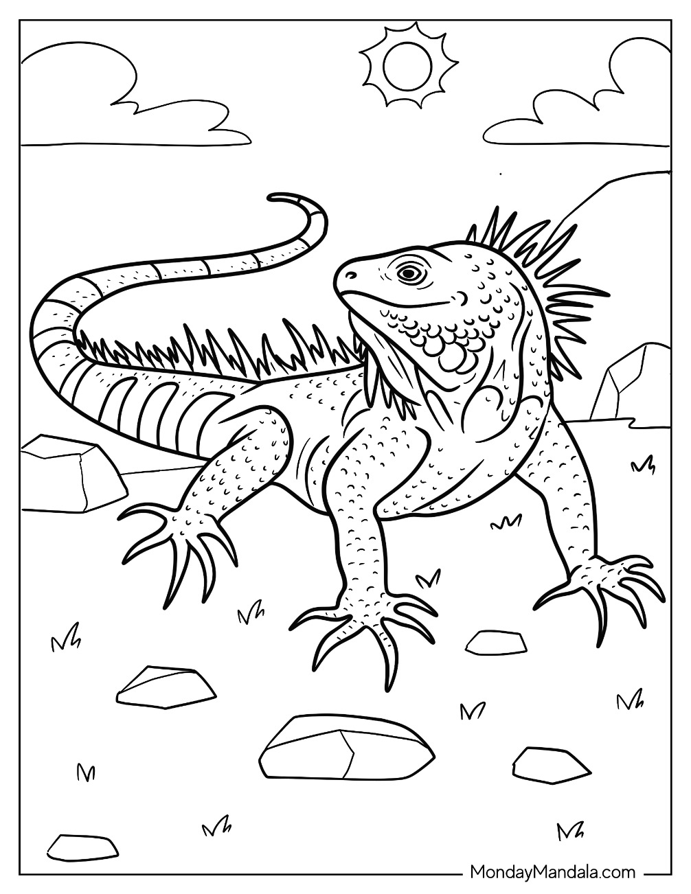 Iguana coloring pages free pdf printables