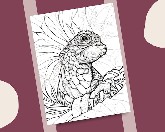 Iguana coloring pages realistic iguanas fantasy design printable coloring book for adults and kids detailed animal coloring page