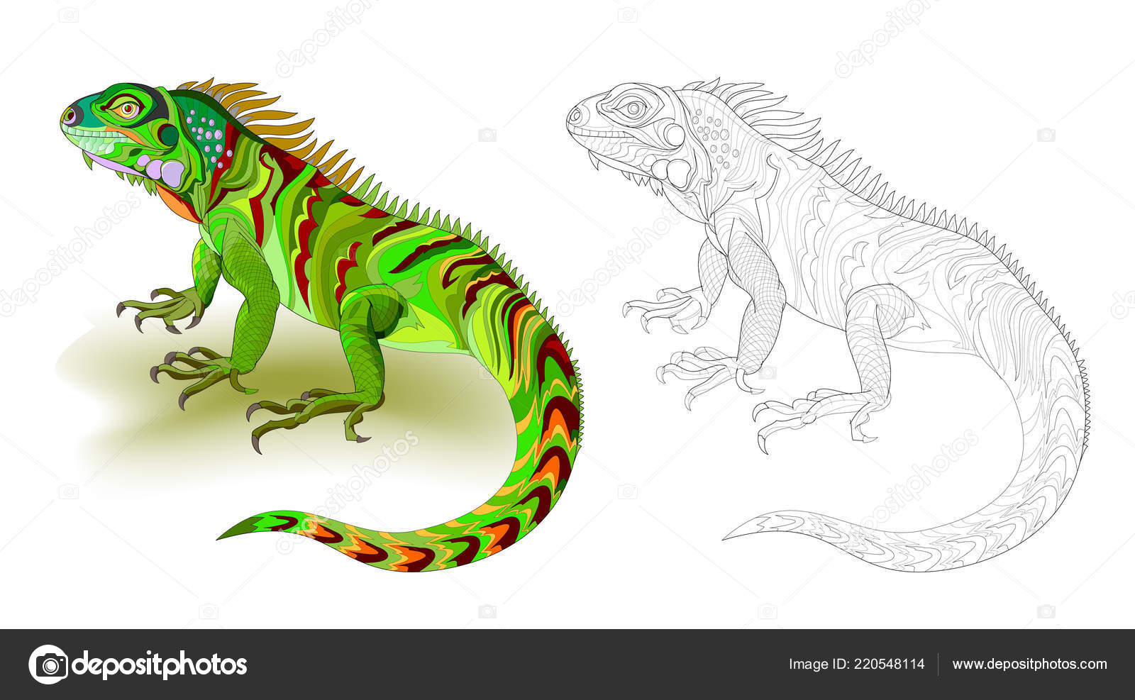 Fantasy illustration cute green lizard iguana colorful black white page stock vector by nataljacernecka