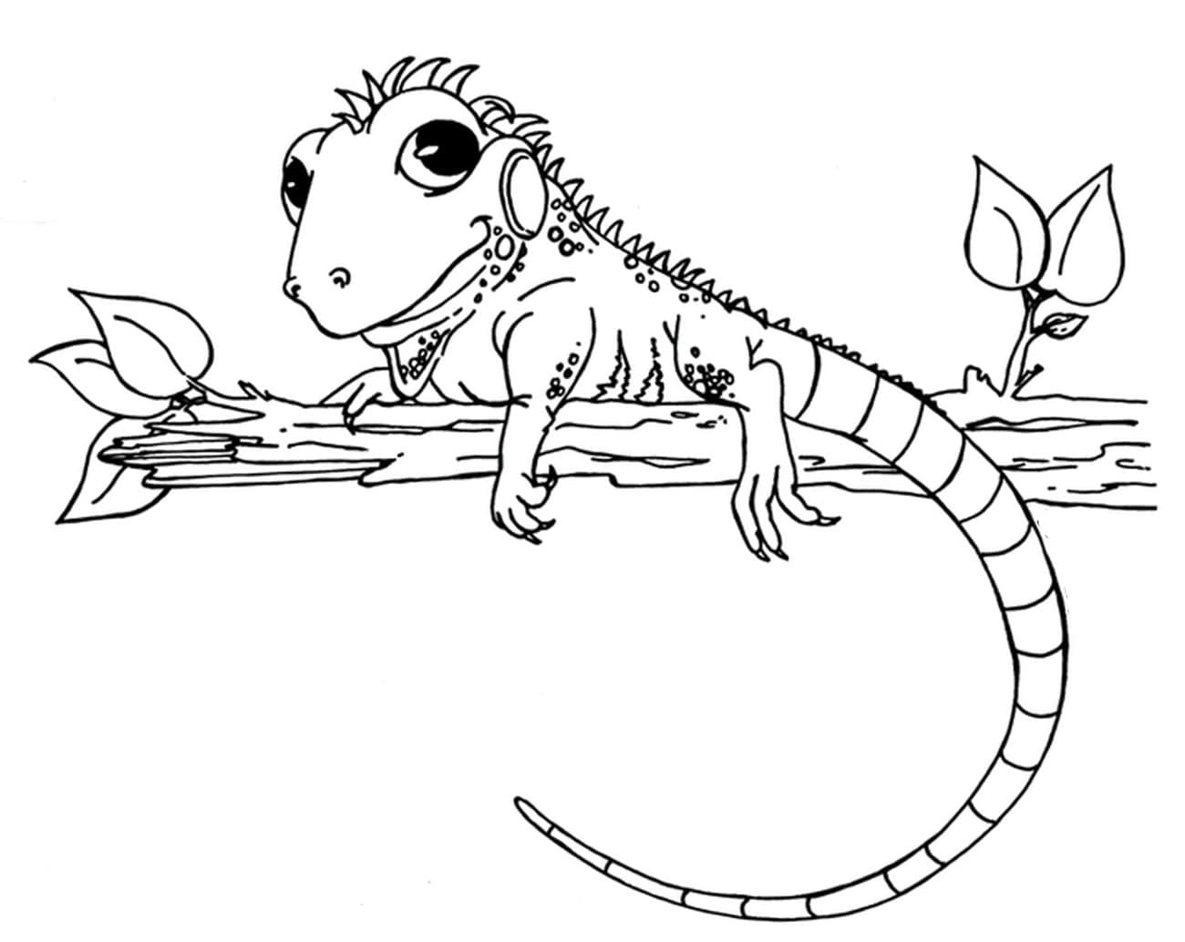 Chameleon to print coloring page