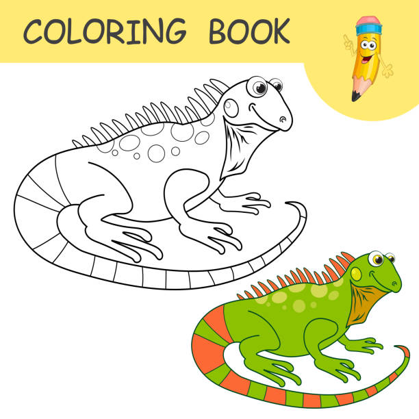 Coloring book with fun character iguana colorless and color samples salamander on coloring page for kids coloring design in cute cartoon style black contour silhouette with a sample for coloring stock illustration