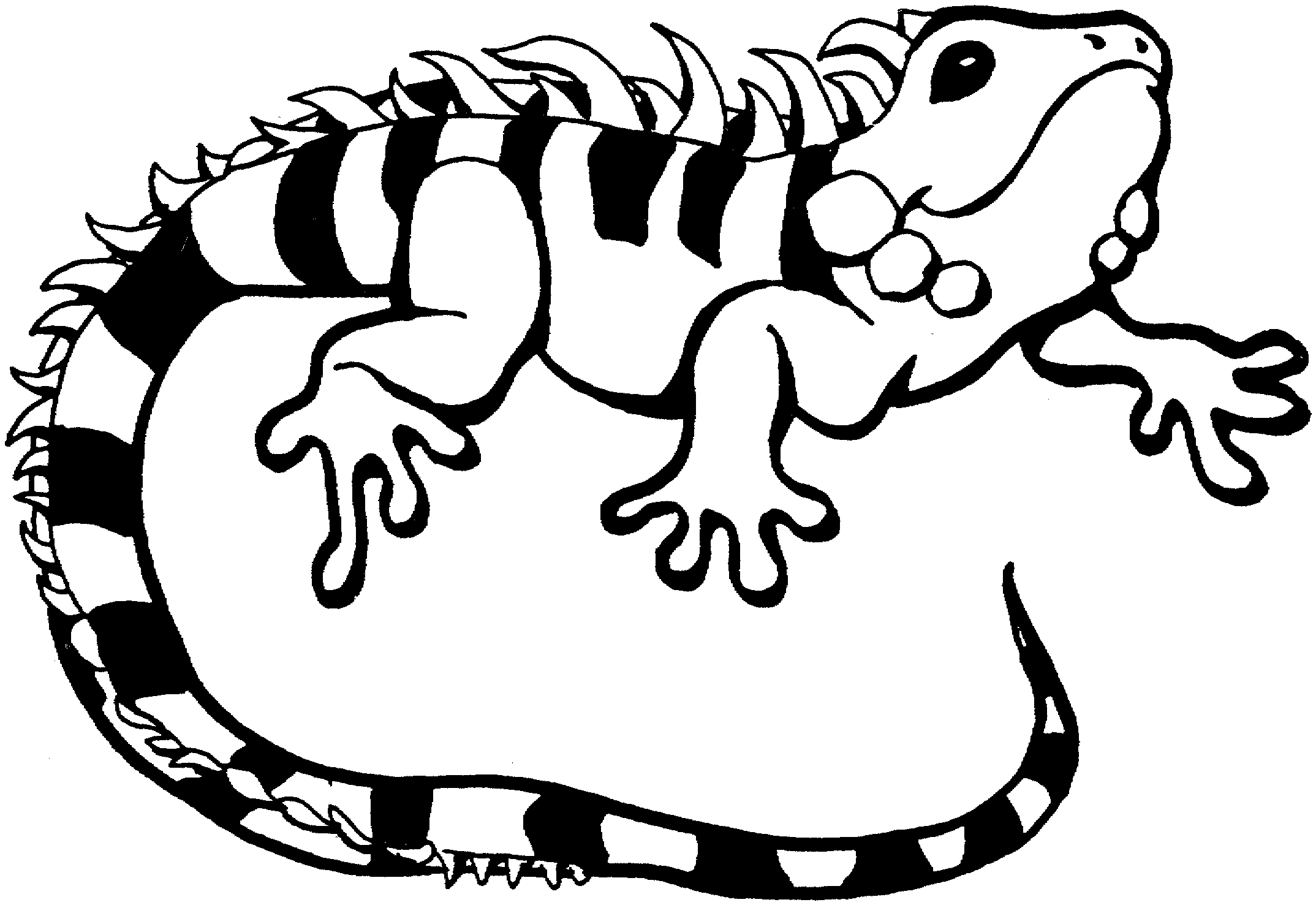 Free lizard coloring pages