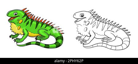 Coloring book or page for kids iguana black and white illustration stock photo