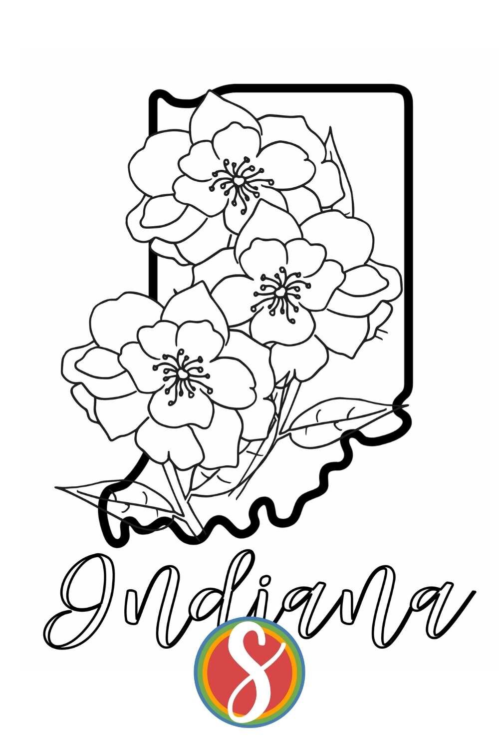 Free indiana coloring pages â stevie doodles