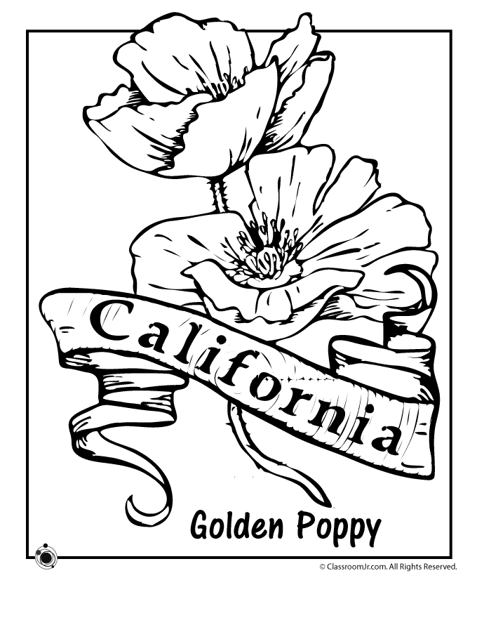 State flower coloring pages woo jr kids activities childrens publishing