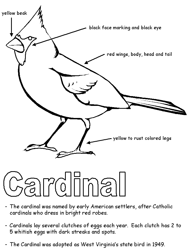 Cardinal with labels