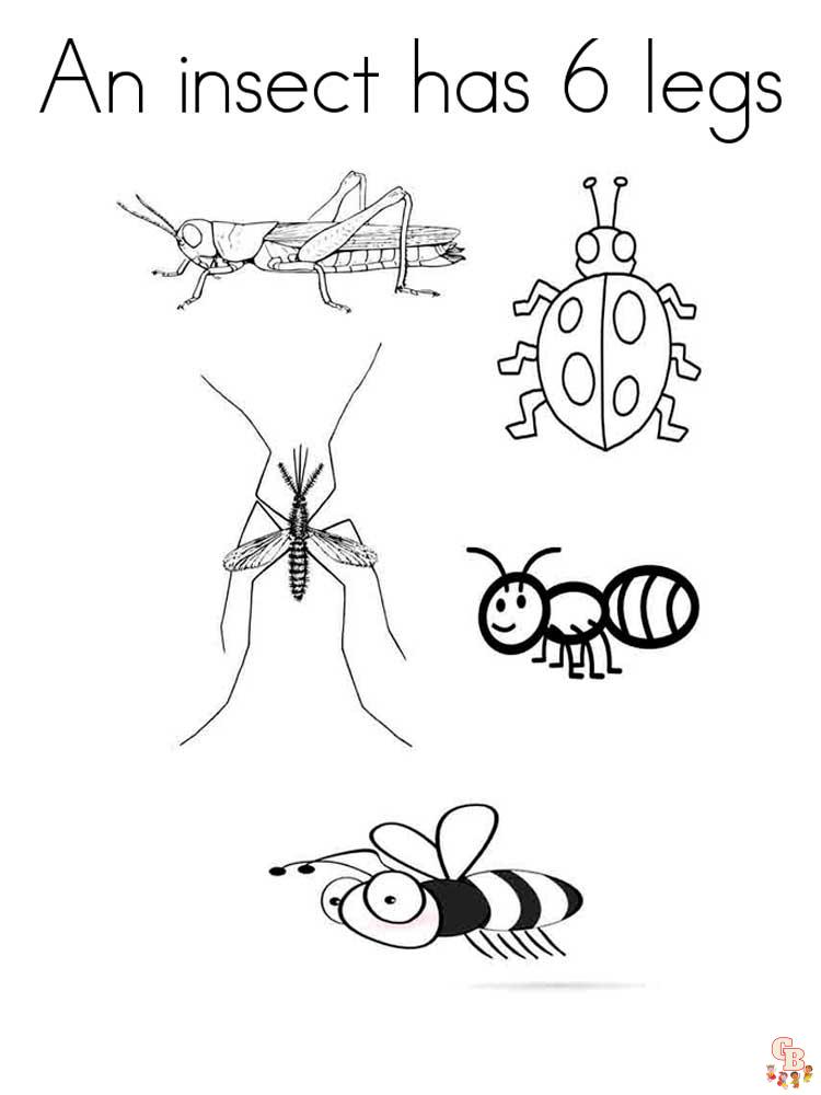 Printable insect coloring pages free for kids and adults