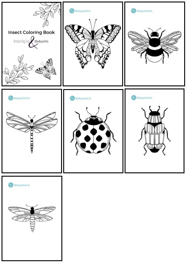 Diy insect coloring book