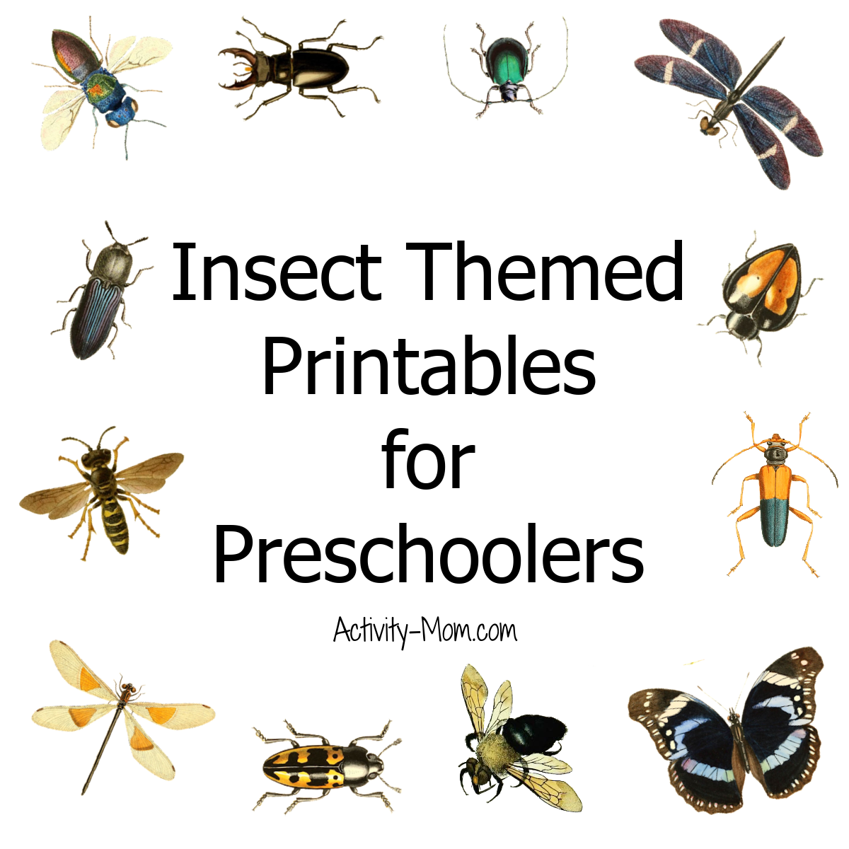 Free preschool insect theme printables and activities