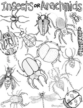 Insect or arachnid coloring page worksheet