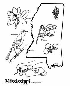 State coloring pages on coloring pages mississippi state outline mississippi mississippi state