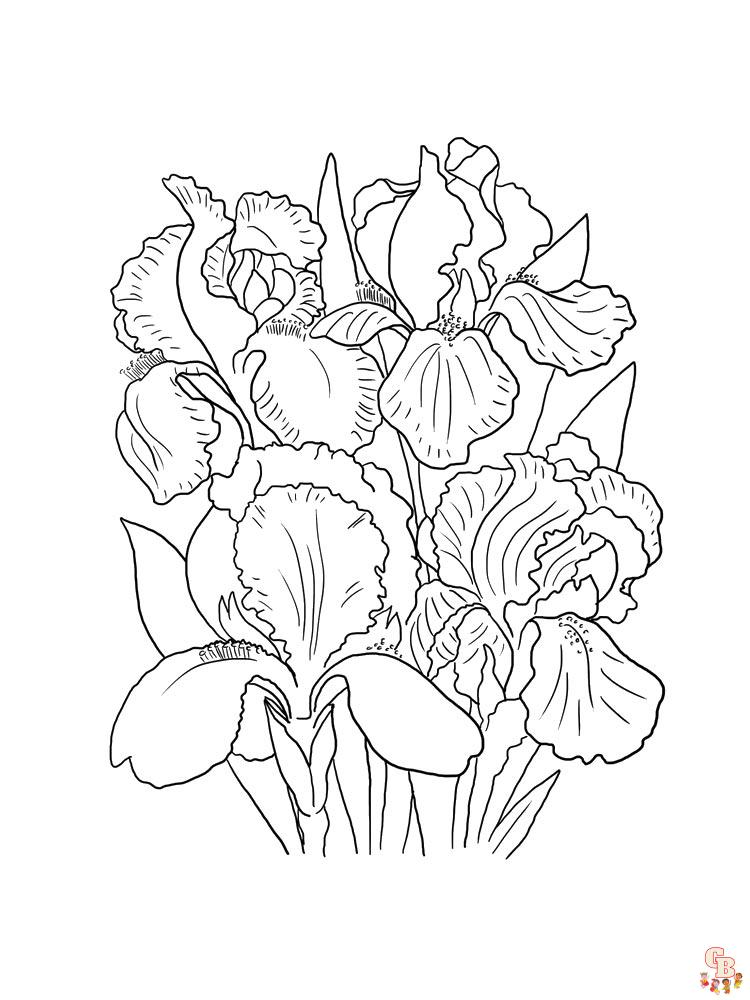 Discover the beauty of iris with free printable coloring pages