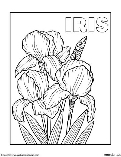 Free realistic flower coloring pages for all ages