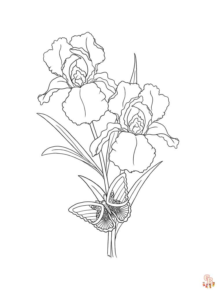 Discover the beauty of iris with free printable coloring pages