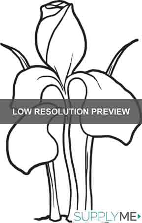 Printable iris flower coloring page for kids â