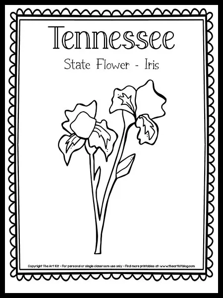 Tennessee state flower coloring page iris free printable â the art kit