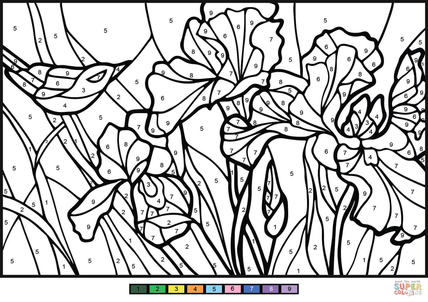 Irises color by number free printable coloring pages