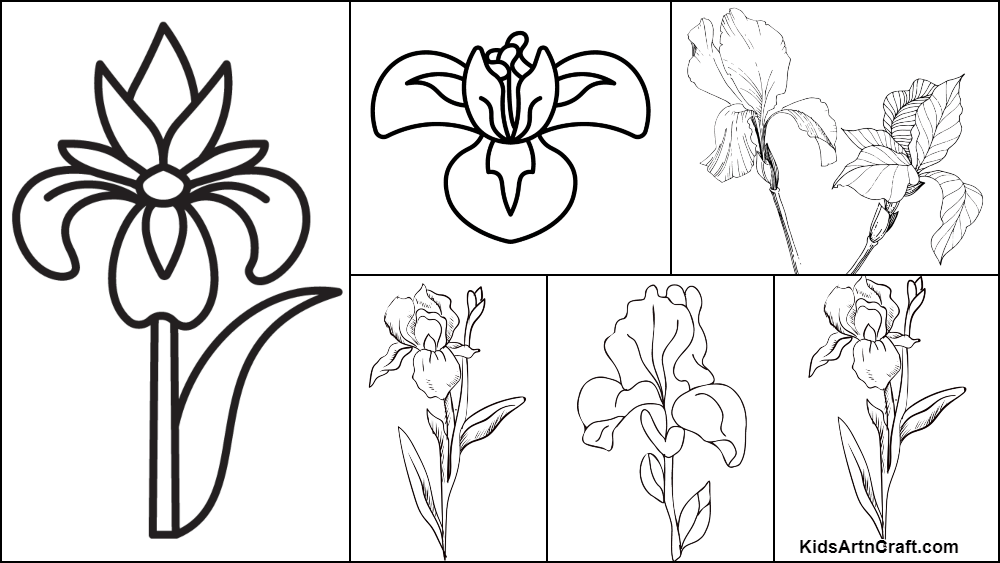 Iris coloring pages for kids â free printables