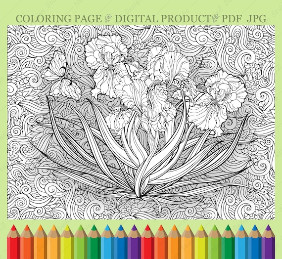 Adult bitanical coloring page of bouquet of irises pdf printable coloring page digital download