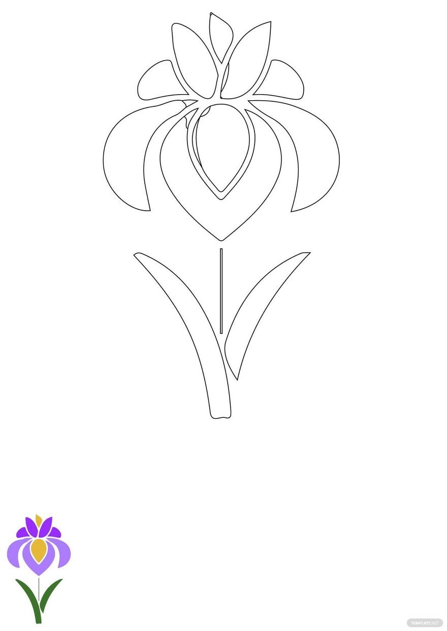 Free iris flower coloring page