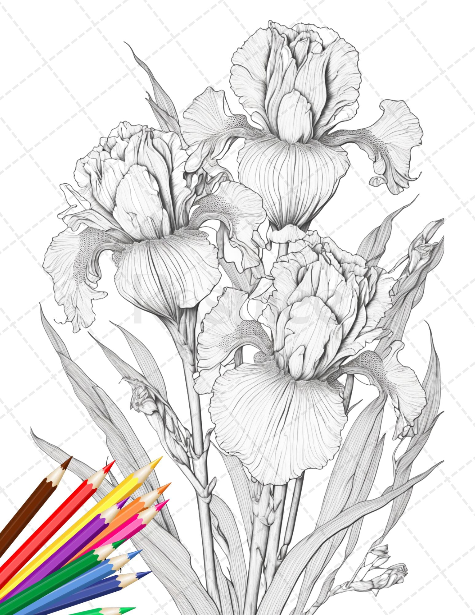 Botanical flowers printable coloring pages for adults floral grays â coloring