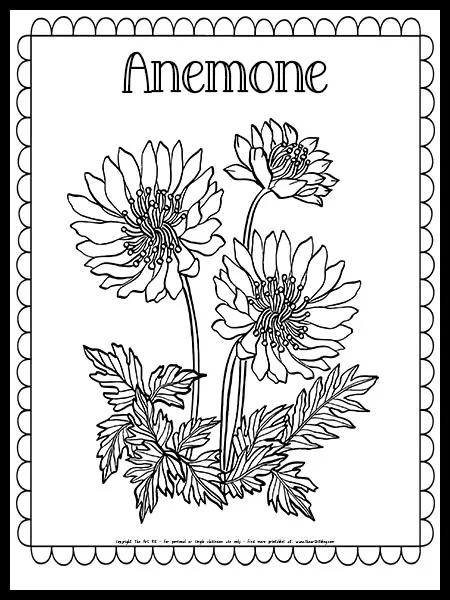 Iris flower coloring page free printable â the art kit