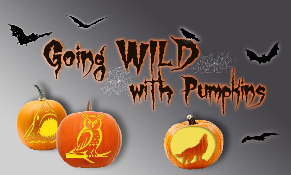 Free pumpkin carving patterns and templates for halloween