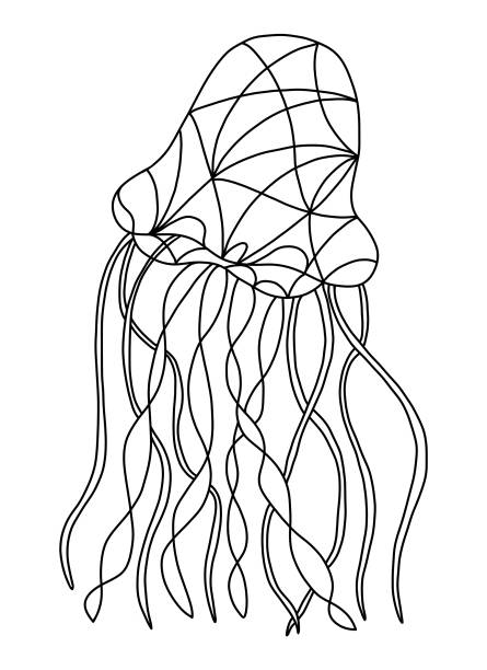 Jellyfish coloring pages pictures stock illustrations royalty