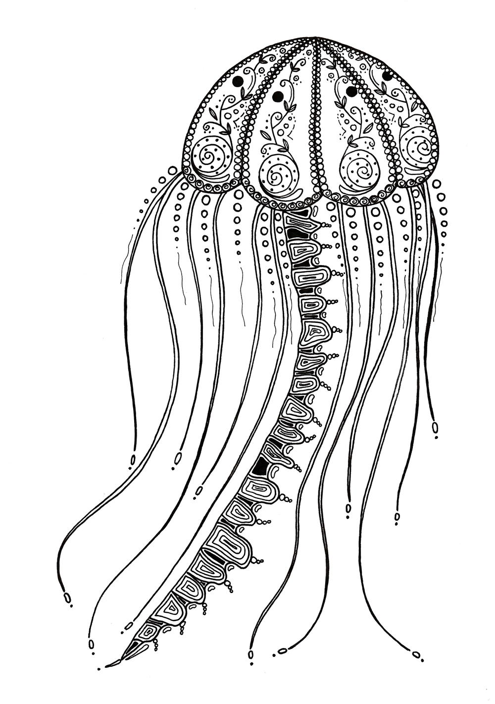 Delicate jellyfish adult coloring page