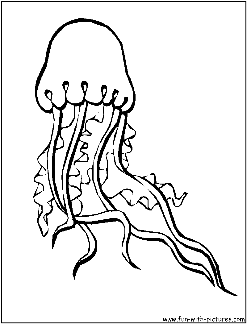 Jellyfish coloring page