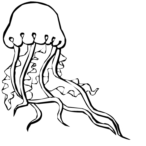 Jellyfish coloring page