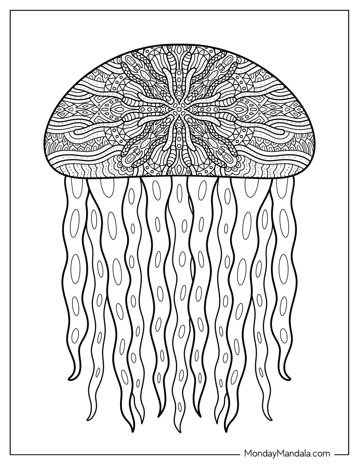 Jellyfish coloring pages free pdf printables