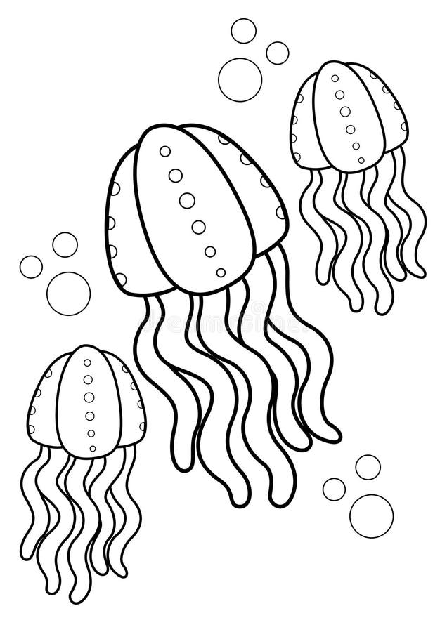 Underwater animals jellyfish coloring pages for kids and adult stock illustration