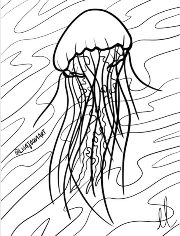 Jellyfish colouring sheet â lisa joan art