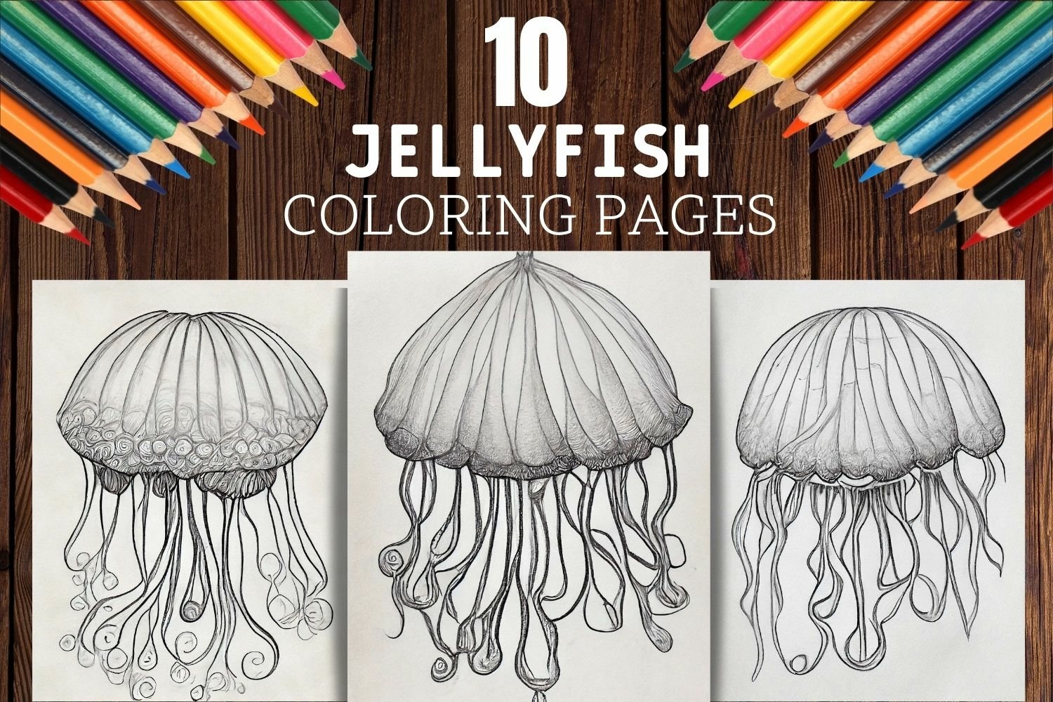 Jellyfish coloring pages