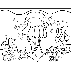 Jellyfish coloring page