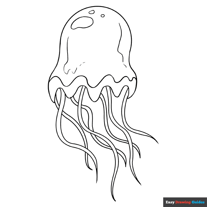 Jellyfish coloring page easy drawing guides