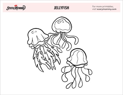 Electrifying jellyfish coloring pages to share with your little sea monsters