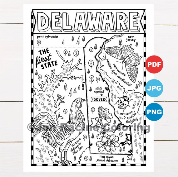 Delaware coloring page united states state map wildlife state symbols flowers coloring pages