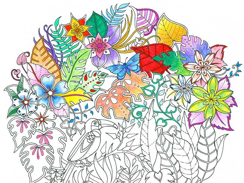 The artist who made coloring books cool for adults returns with a new masterpiece arts culture smithsonian magazine