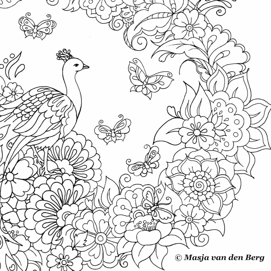 Coloralongs â blog â amber loves coloring