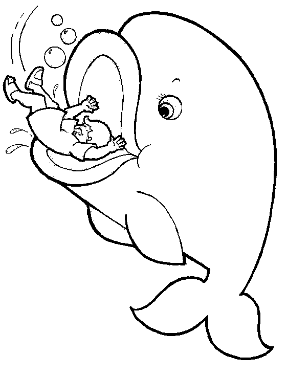 Jonah and the whale