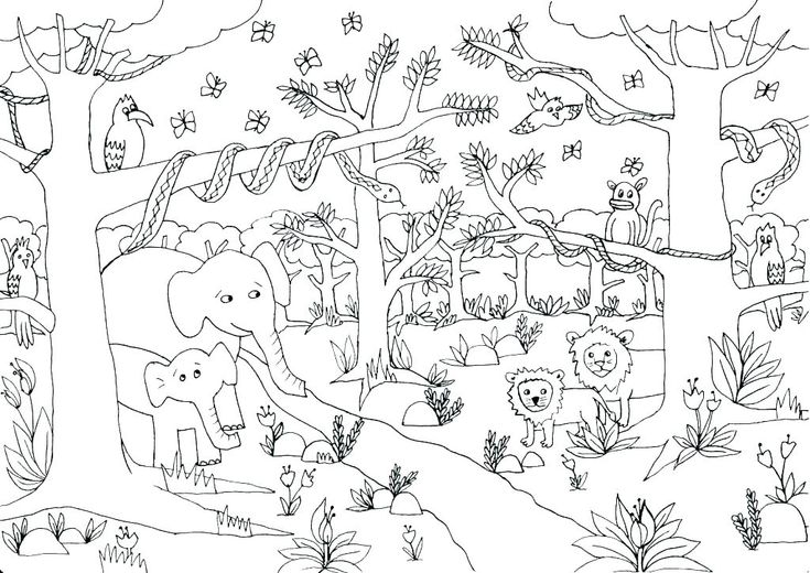 Jungle coloring pages