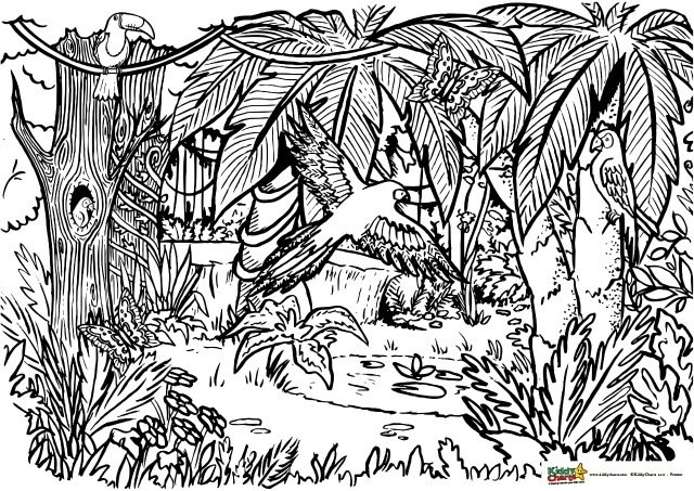 Jungle coloring for adults and kids