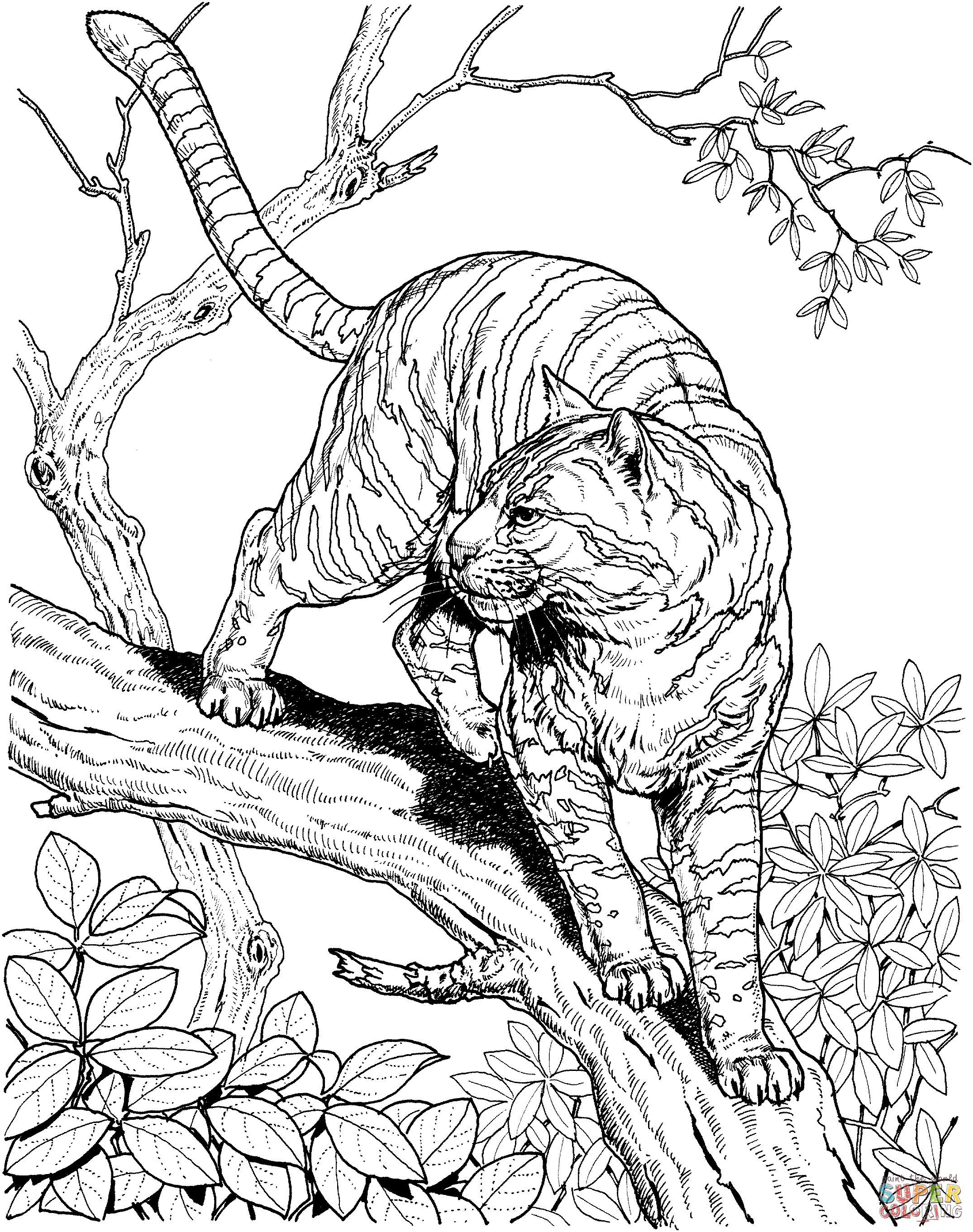 Tiger in a jungle coloring page free printable coloring pages