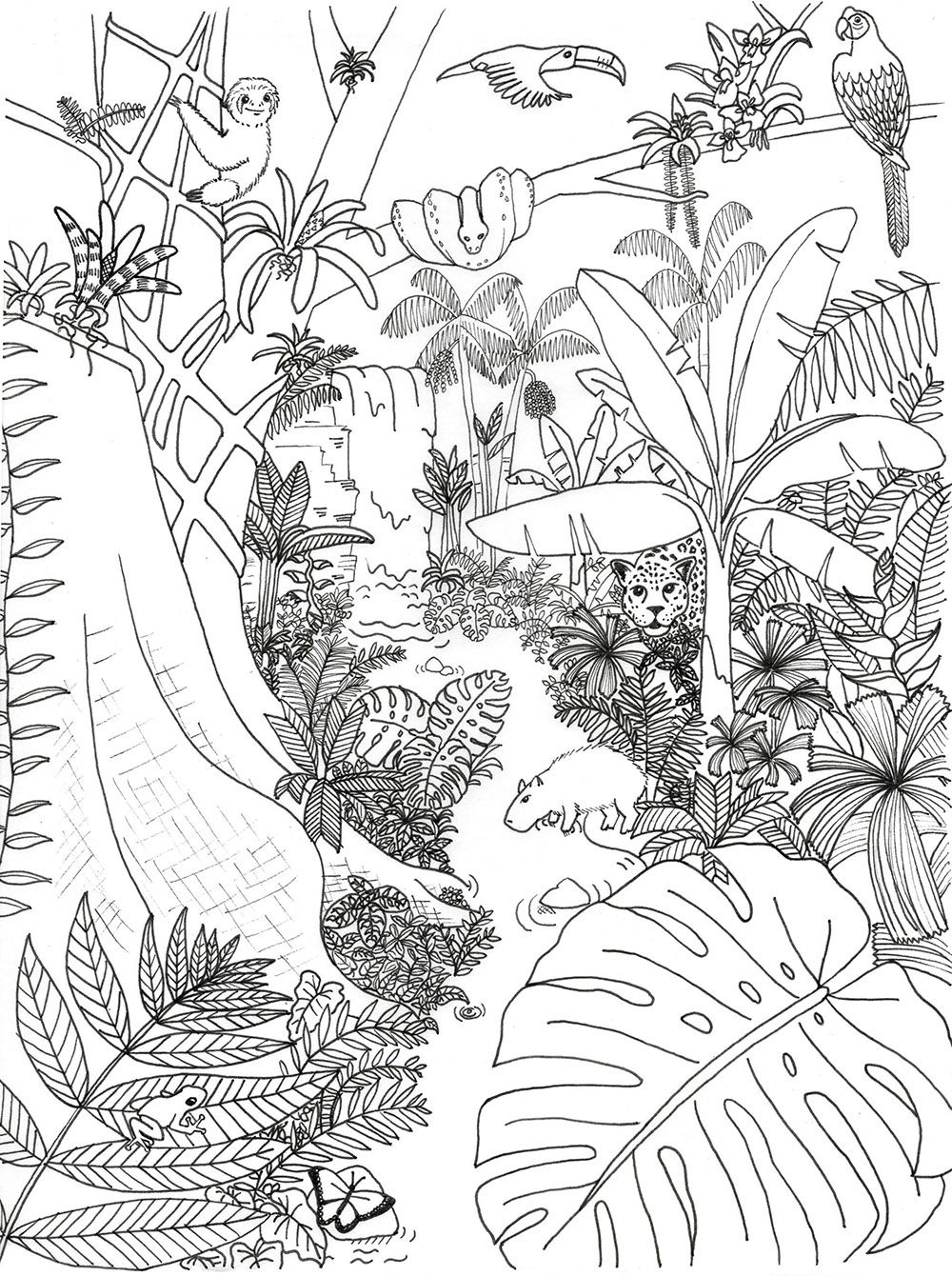 Coloring pages archives rainforest alliance