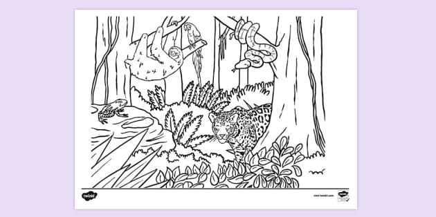 Printable colouring page of animals in the jungle