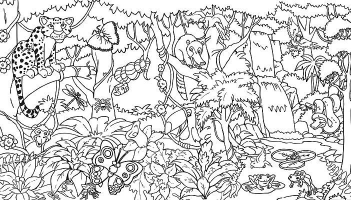 Rain forest coloring pages rainforest coloring sheet tropica regenwouden kleurplaten kleuren