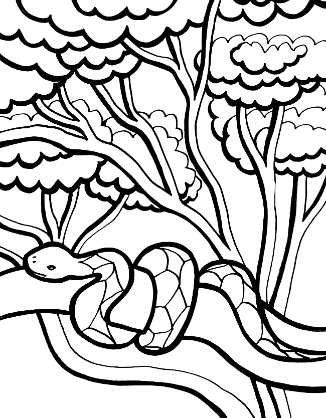 Jungle coloring pages printable for free download